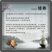 布料机安kaiyun官方网站装示意图(手动布料机安装示意图)